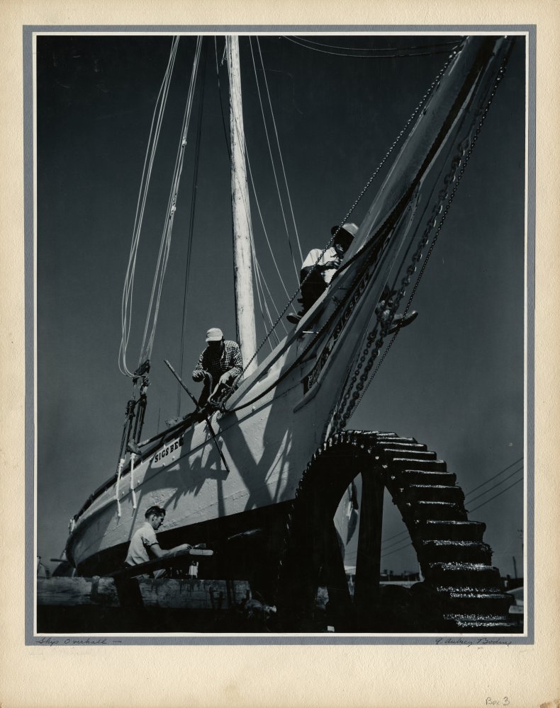 Click for larger image